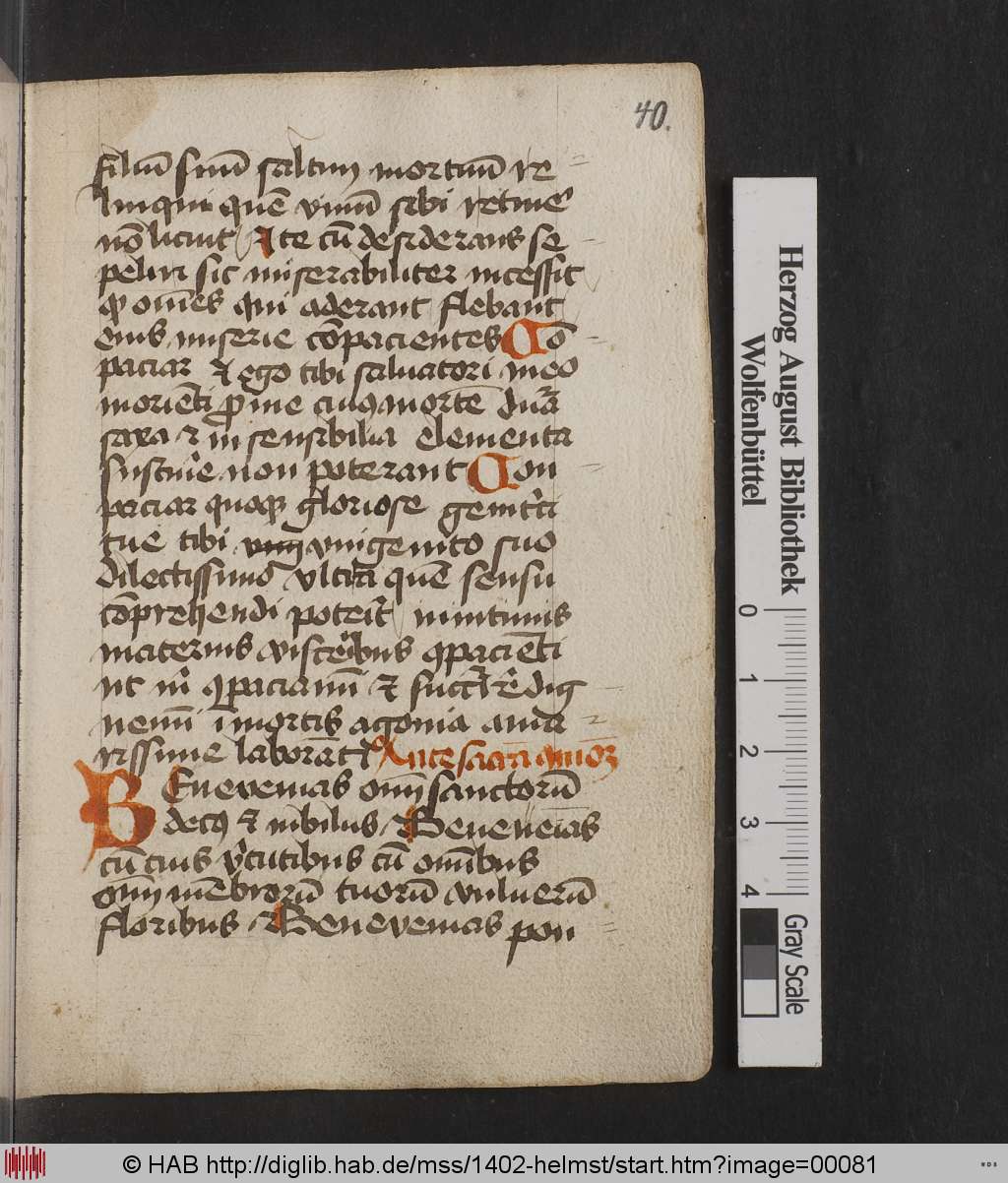 http://diglib.hab.de/mss/1402-helmst/00081.jpg