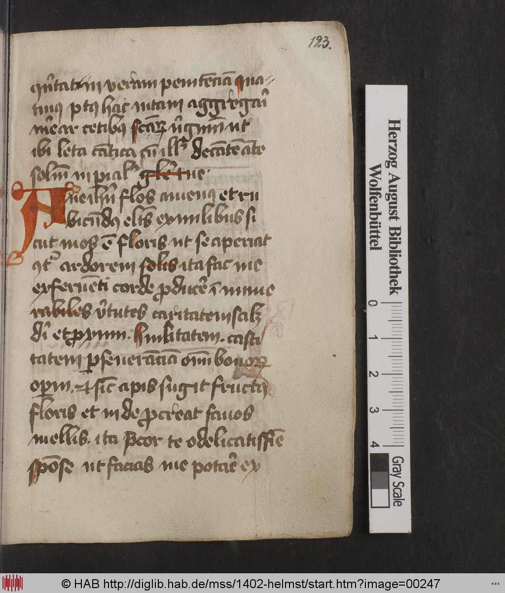 http://diglib.hab.de/mss/1402-helmst/00247.jpg