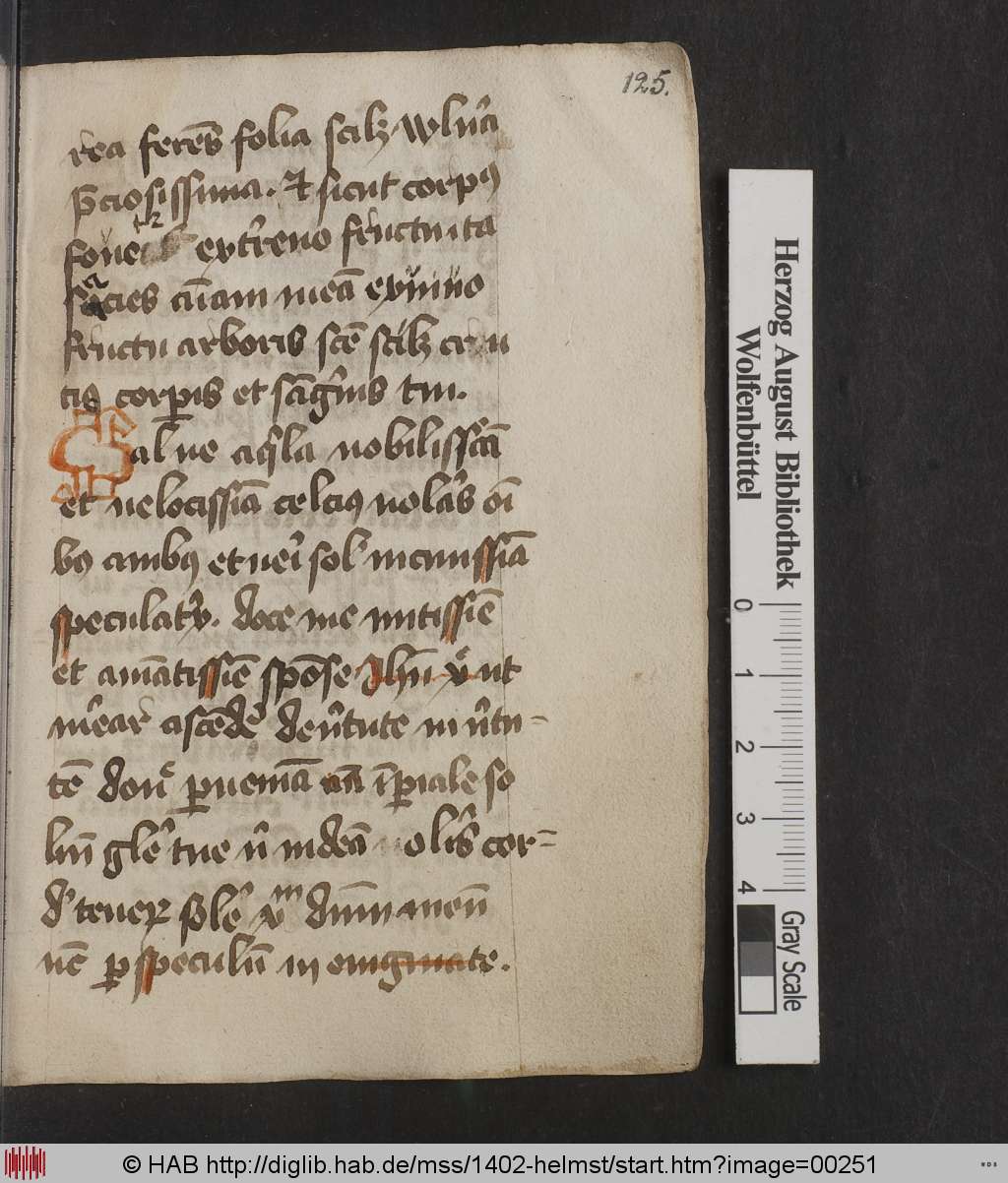 http://diglib.hab.de/mss/1402-helmst/00251.jpg