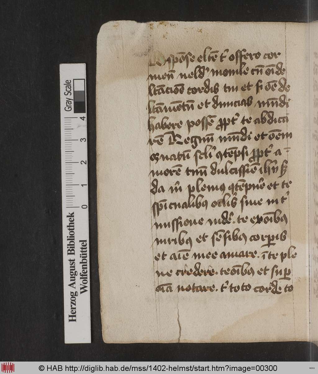 http://diglib.hab.de/mss/1402-helmst/00300.jpg