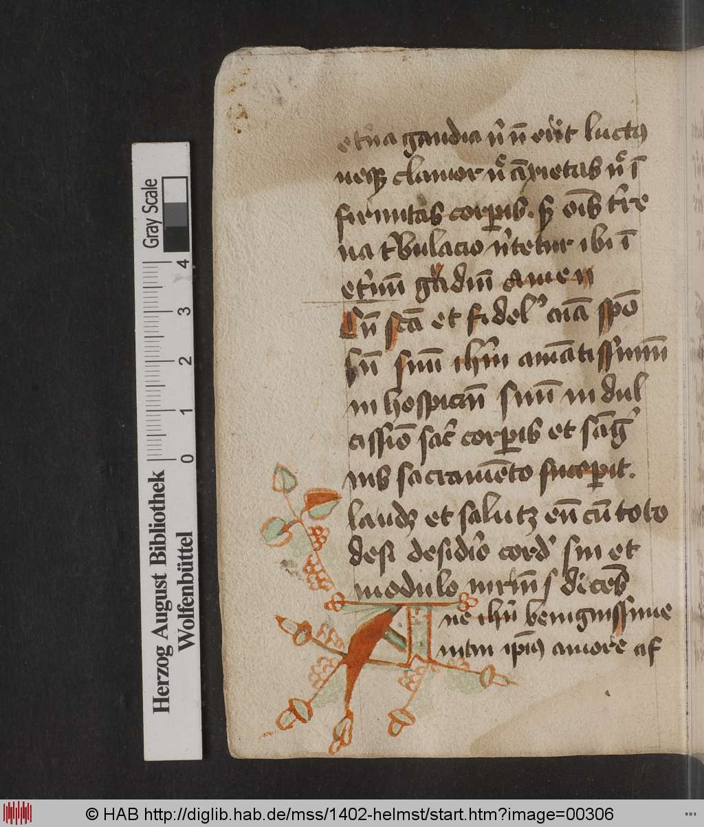 http://diglib.hab.de/mss/1402-helmst/00306.jpg