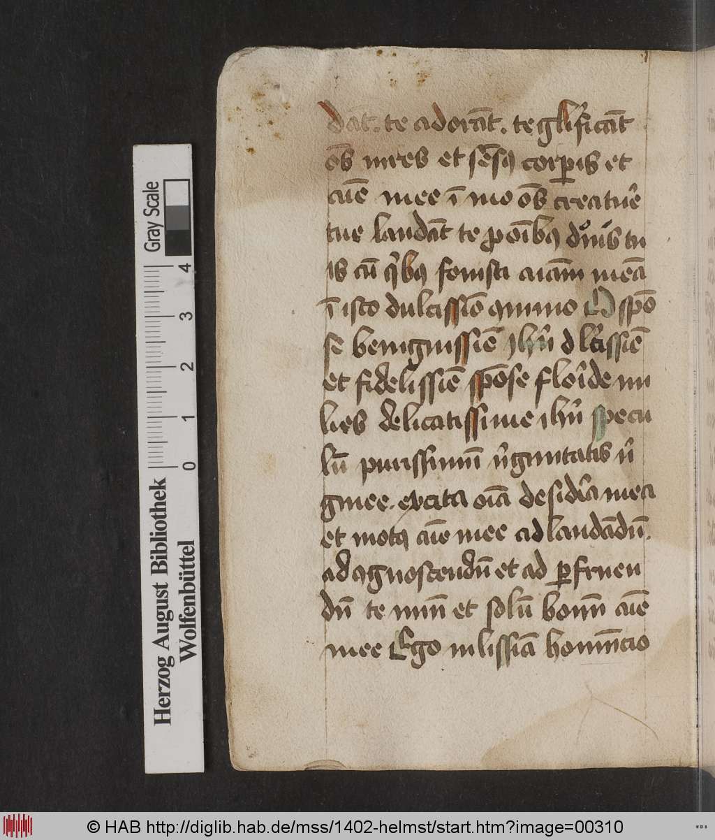 http://diglib.hab.de/mss/1402-helmst/00310.jpg
