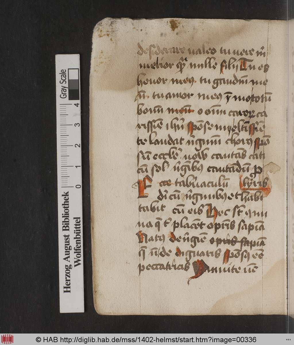 http://diglib.hab.de/mss/1402-helmst/00336.jpg