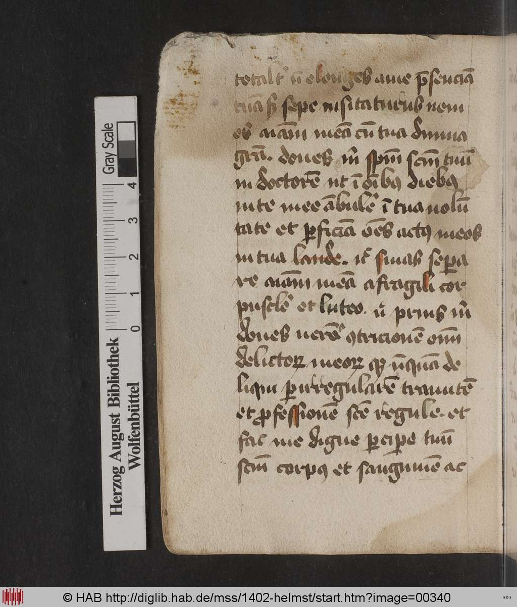 http://diglib.hab.de/mss/1402-helmst/00340.jpg