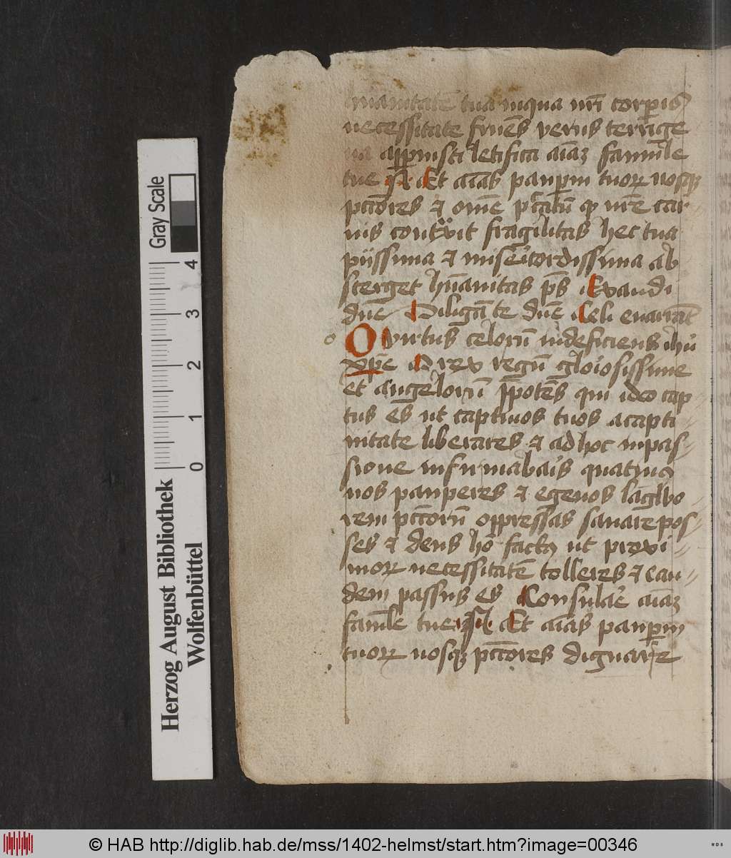 http://diglib.hab.de/mss/1402-helmst/00346.jpg