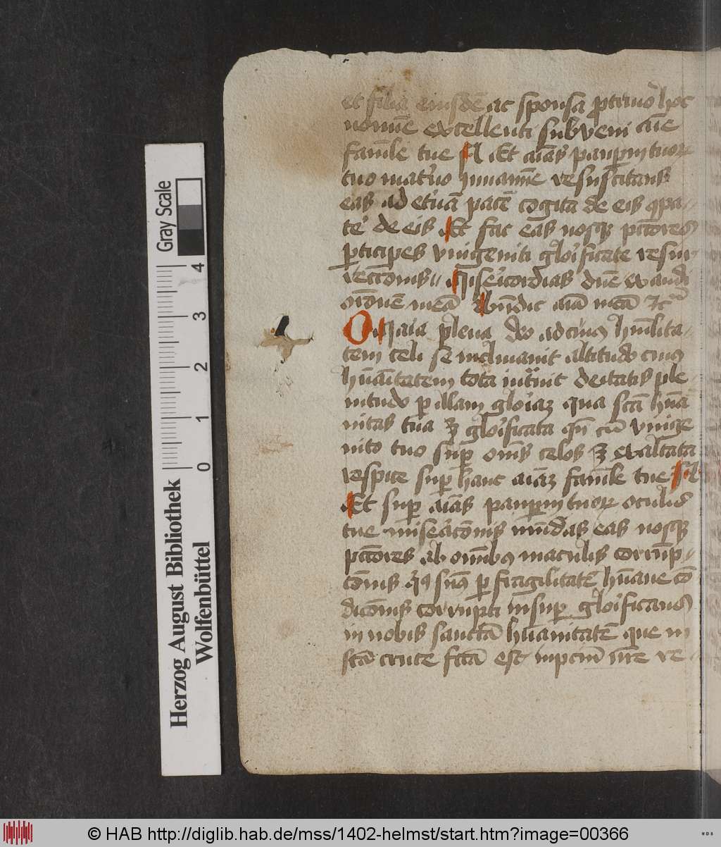http://diglib.hab.de/mss/1402-helmst/00366.jpg