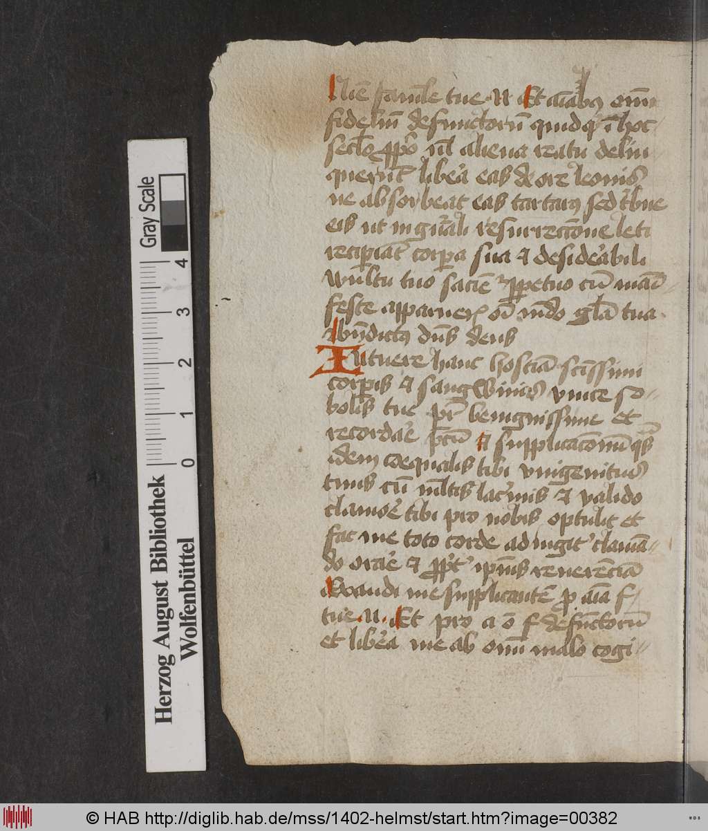 http://diglib.hab.de/mss/1402-helmst/00382.jpg
