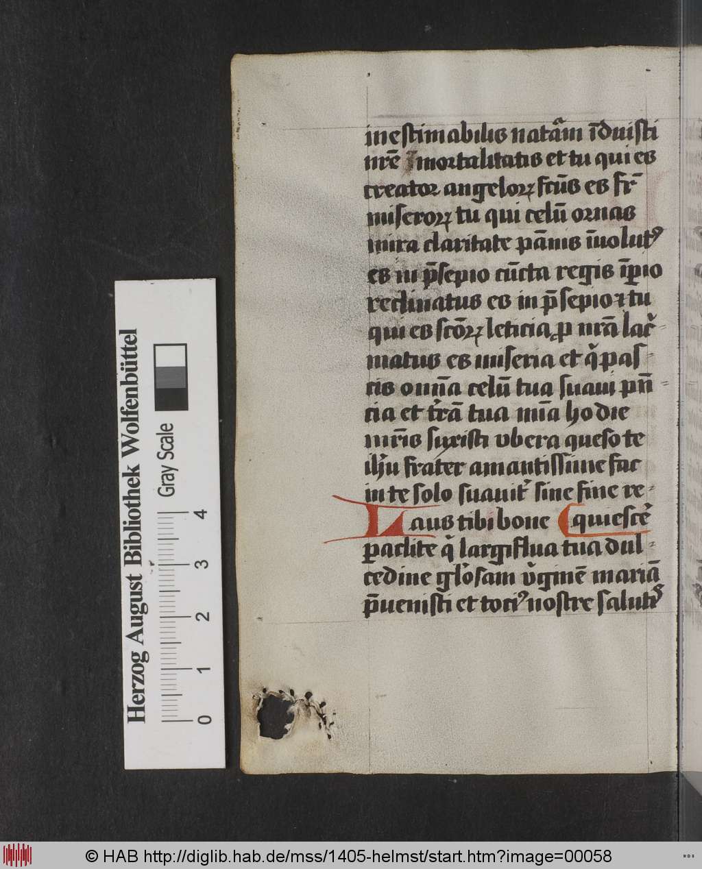 http://diglib.hab.de/mss/1405-helmst/00058.jpg