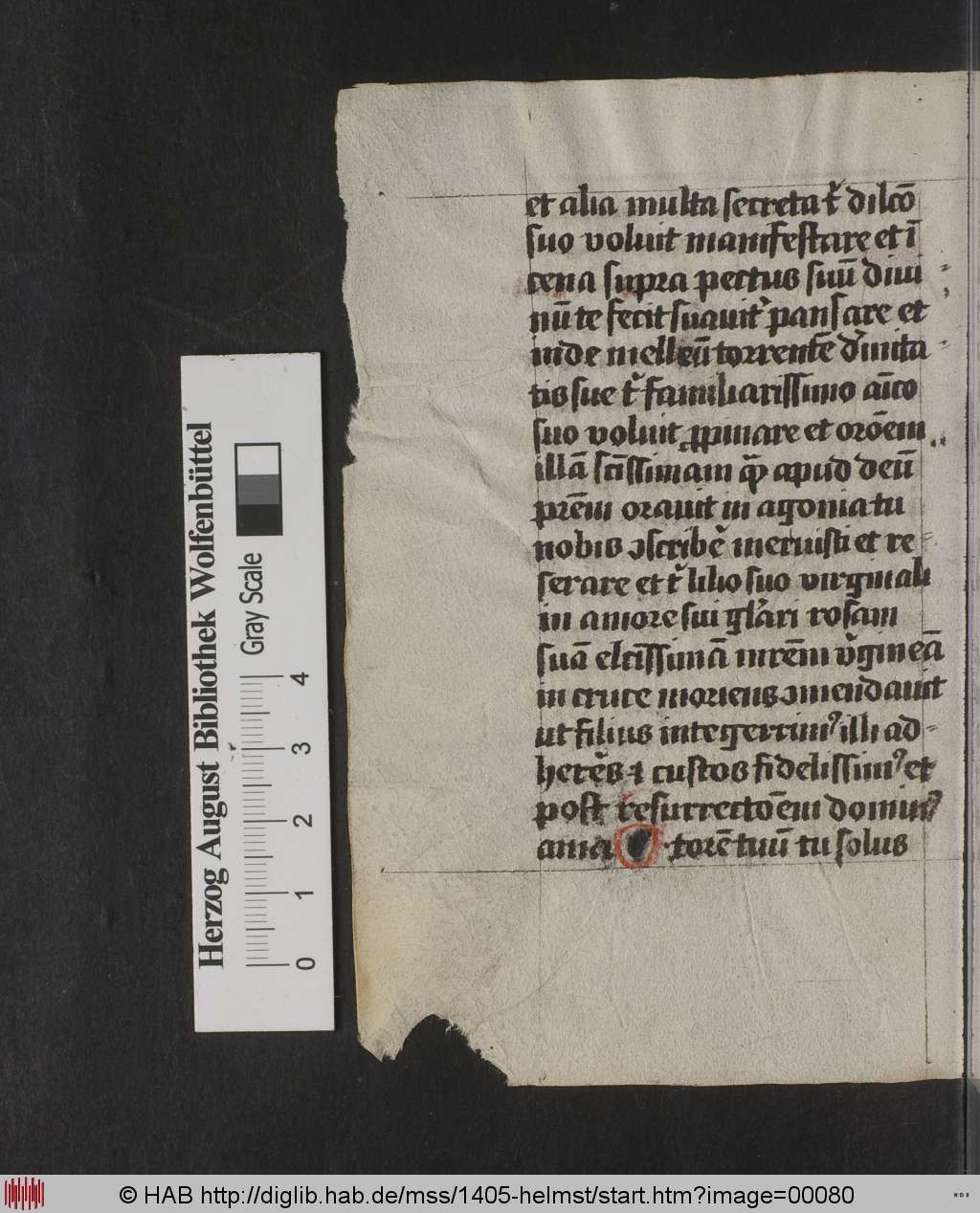 http://diglib.hab.de/mss/1405-helmst/00080.jpg