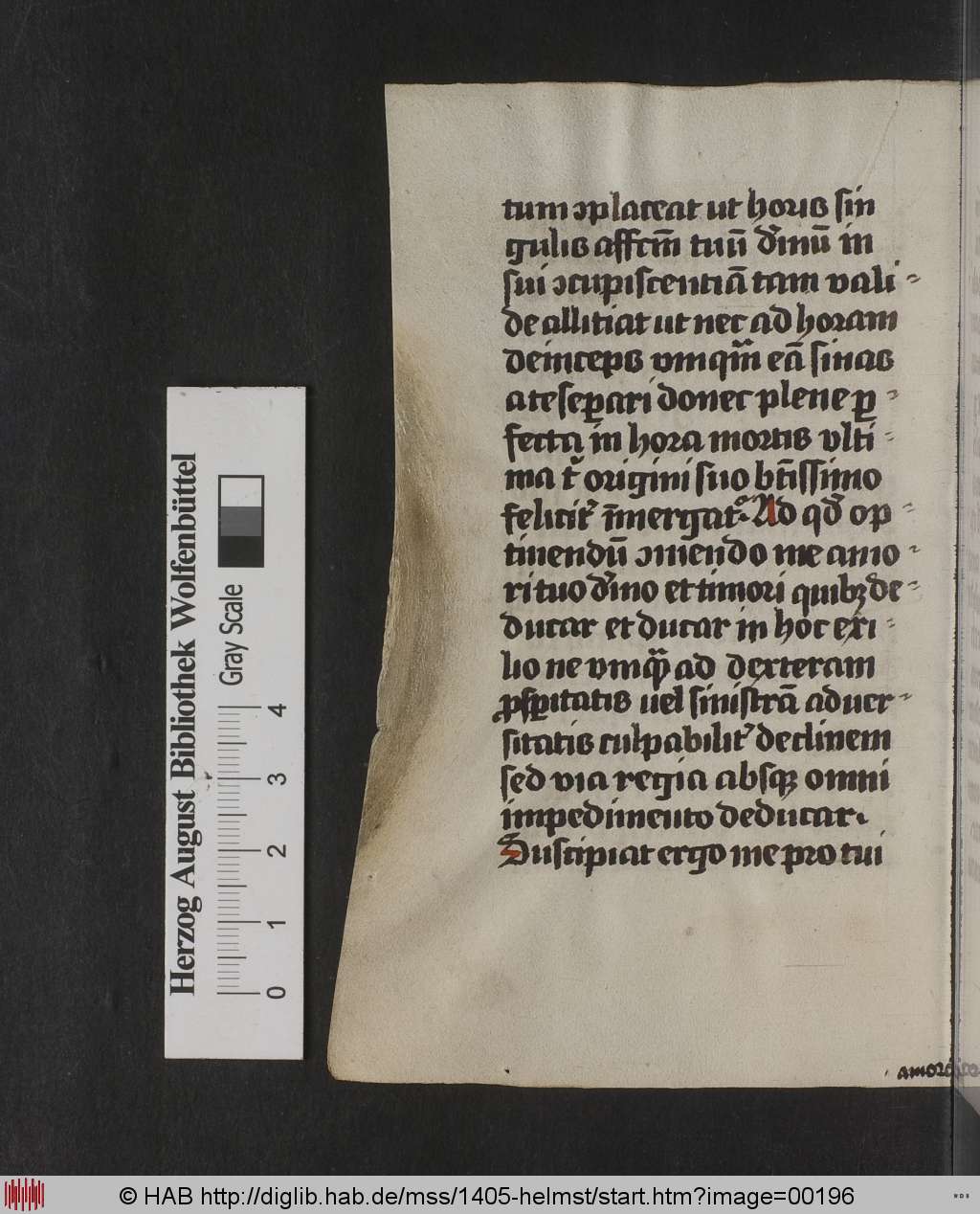 http://diglib.hab.de/mss/1405-helmst/00196.jpg