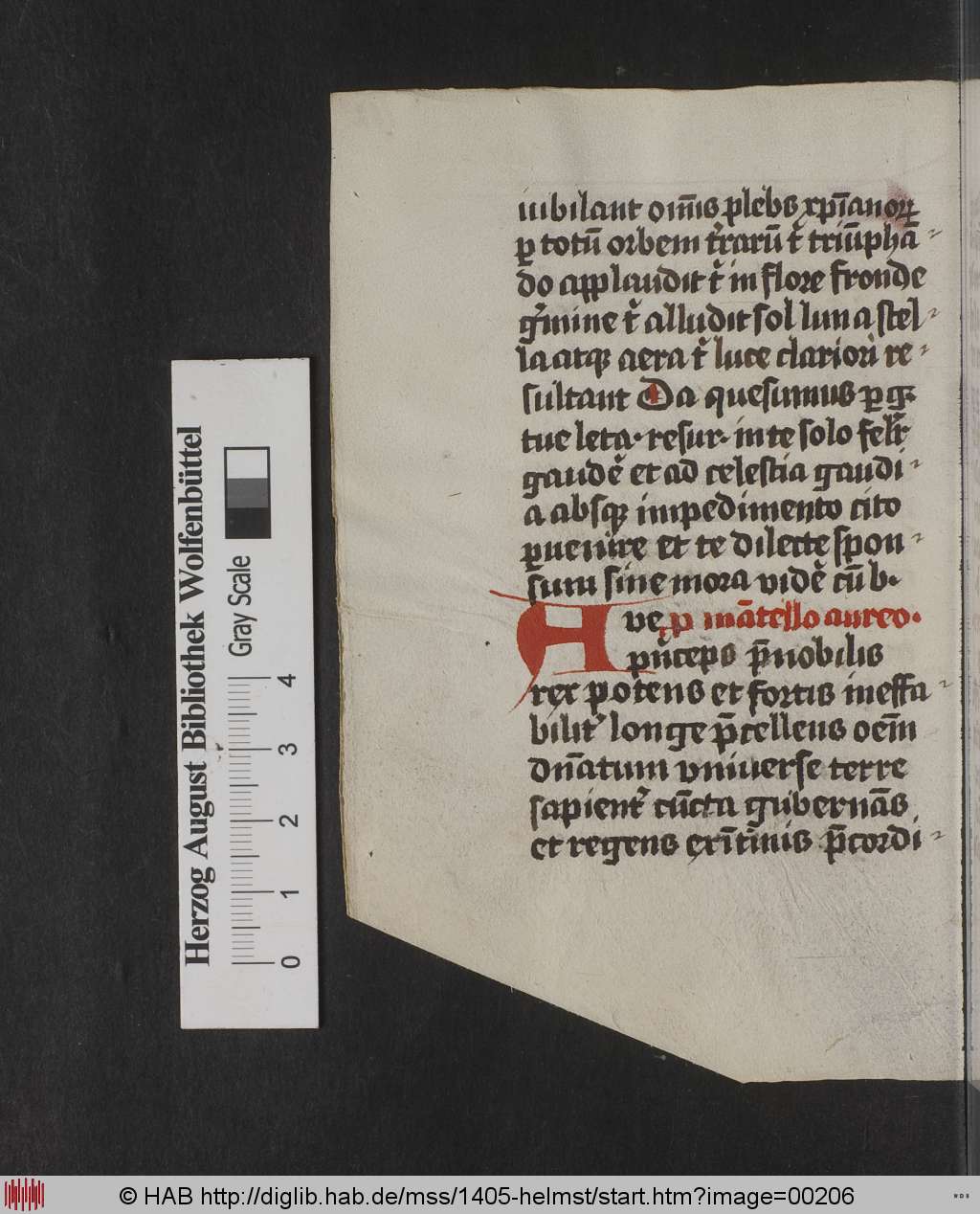 http://diglib.hab.de/mss/1405-helmst/00206.jpg