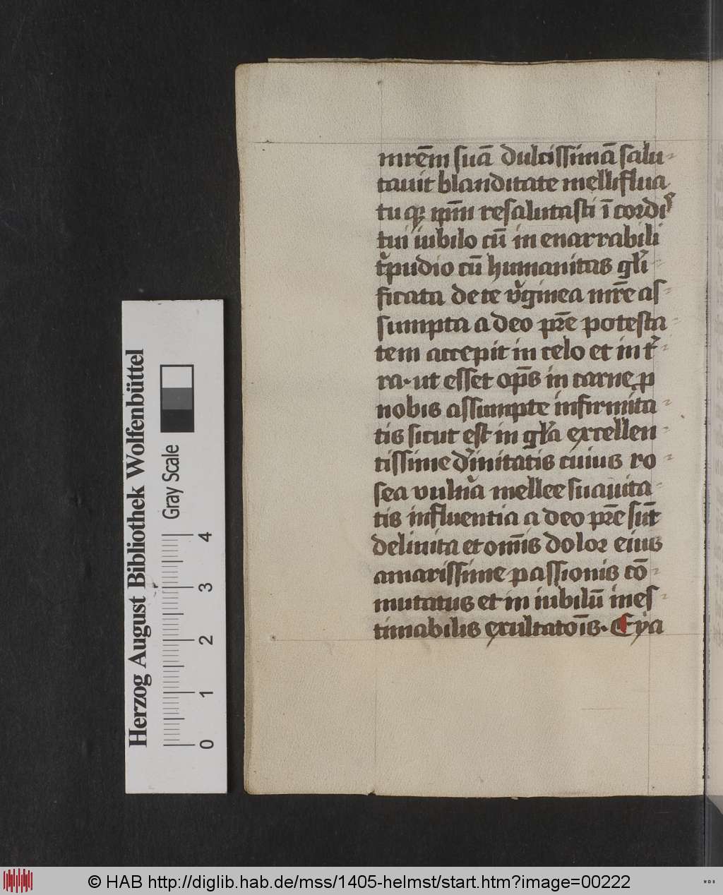 http://diglib.hab.de/mss/1405-helmst/00222.jpg