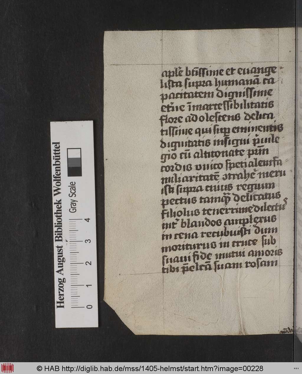 http://diglib.hab.de/mss/1405-helmst/00228.jpg