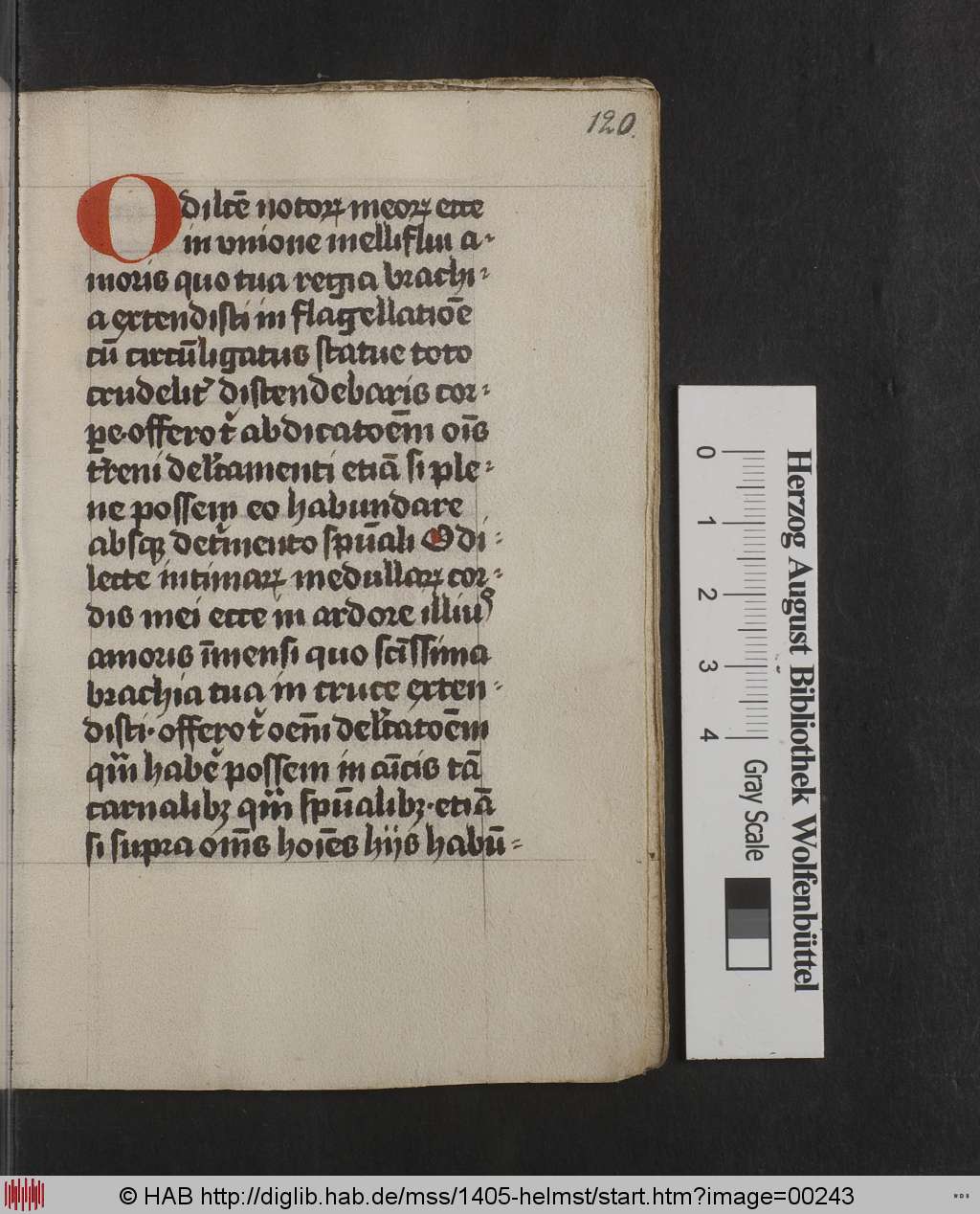 http://diglib.hab.de/mss/1405-helmst/00243.jpg