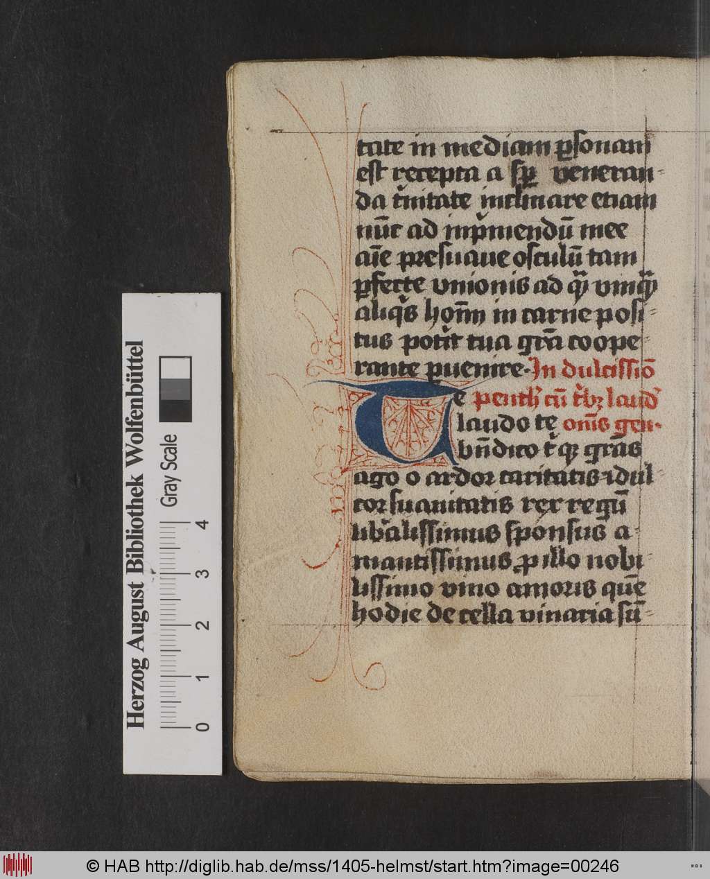 http://diglib.hab.de/mss/1405-helmst/00246.jpg