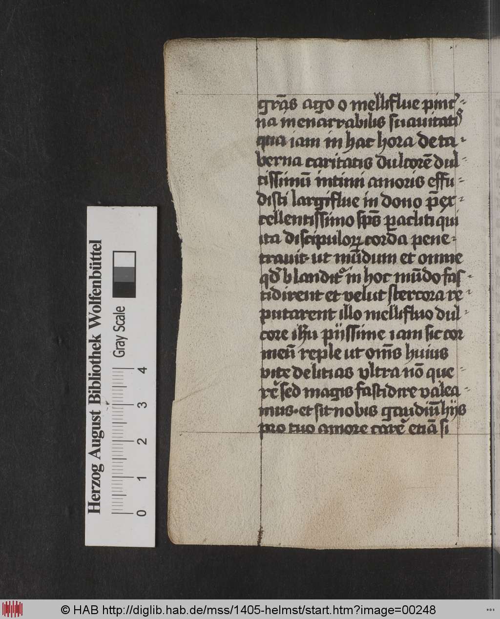 http://diglib.hab.de/mss/1405-helmst/00248.jpg