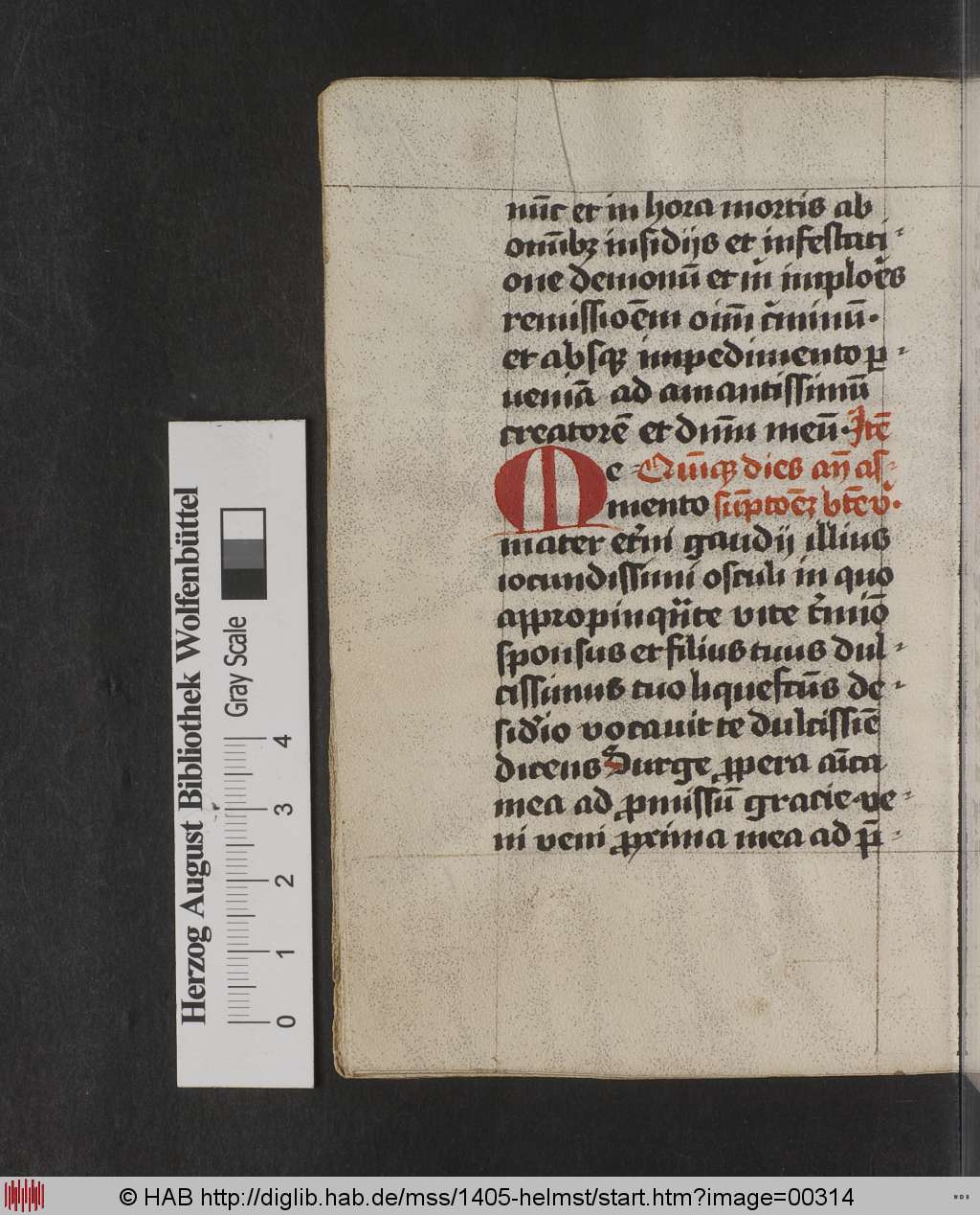 http://diglib.hab.de/mss/1405-helmst/00314.jpg