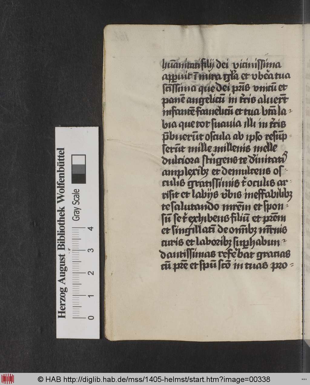 http://diglib.hab.de/mss/1405-helmst/00338.jpg