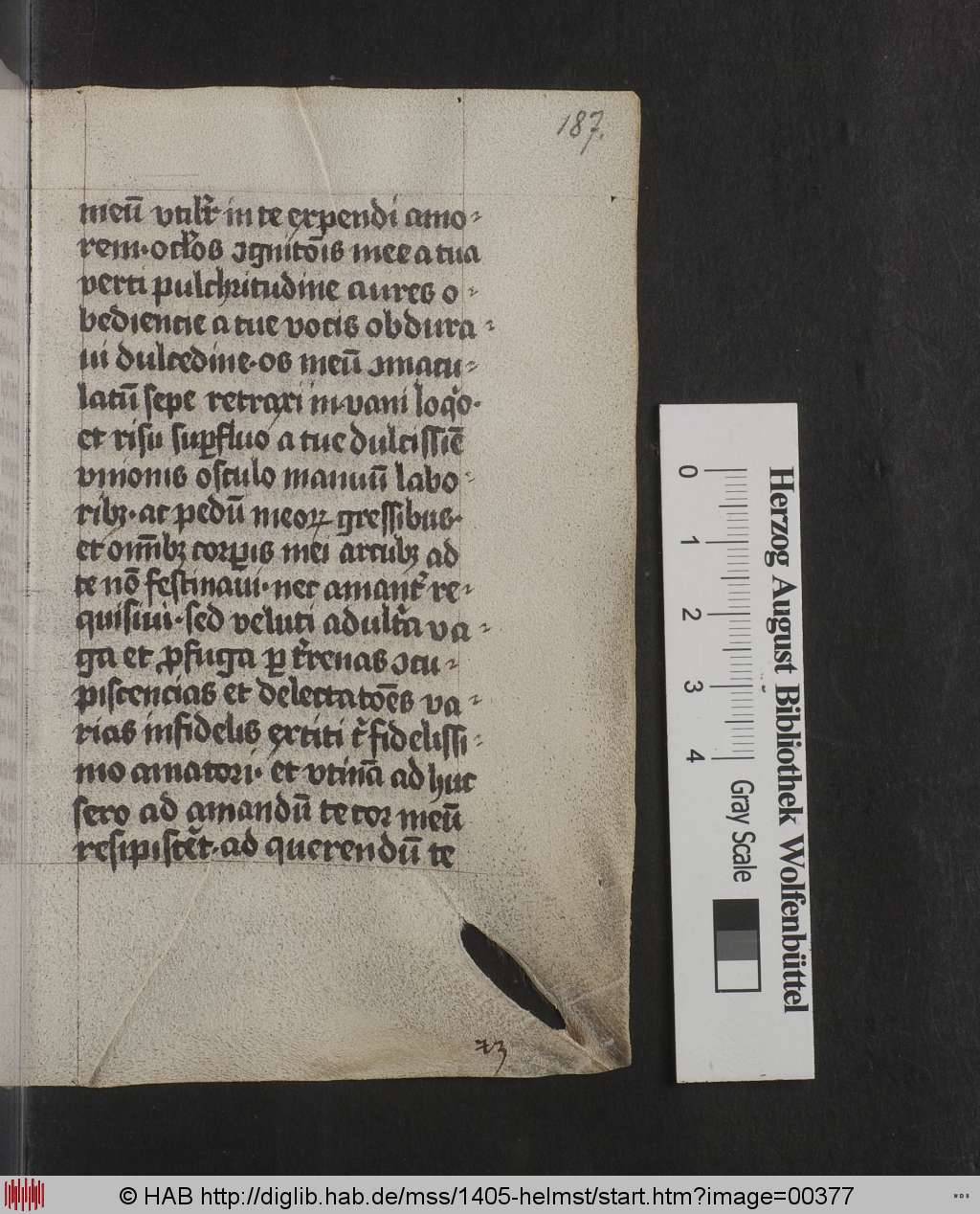 http://diglib.hab.de/mss/1405-helmst/00377.jpg