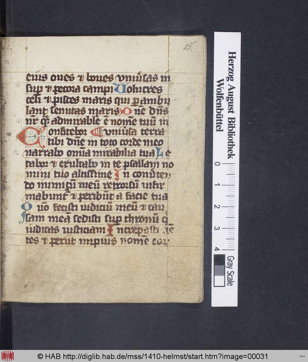 http://diglib.hab.de/mss/1410-helmst/00031.jpg