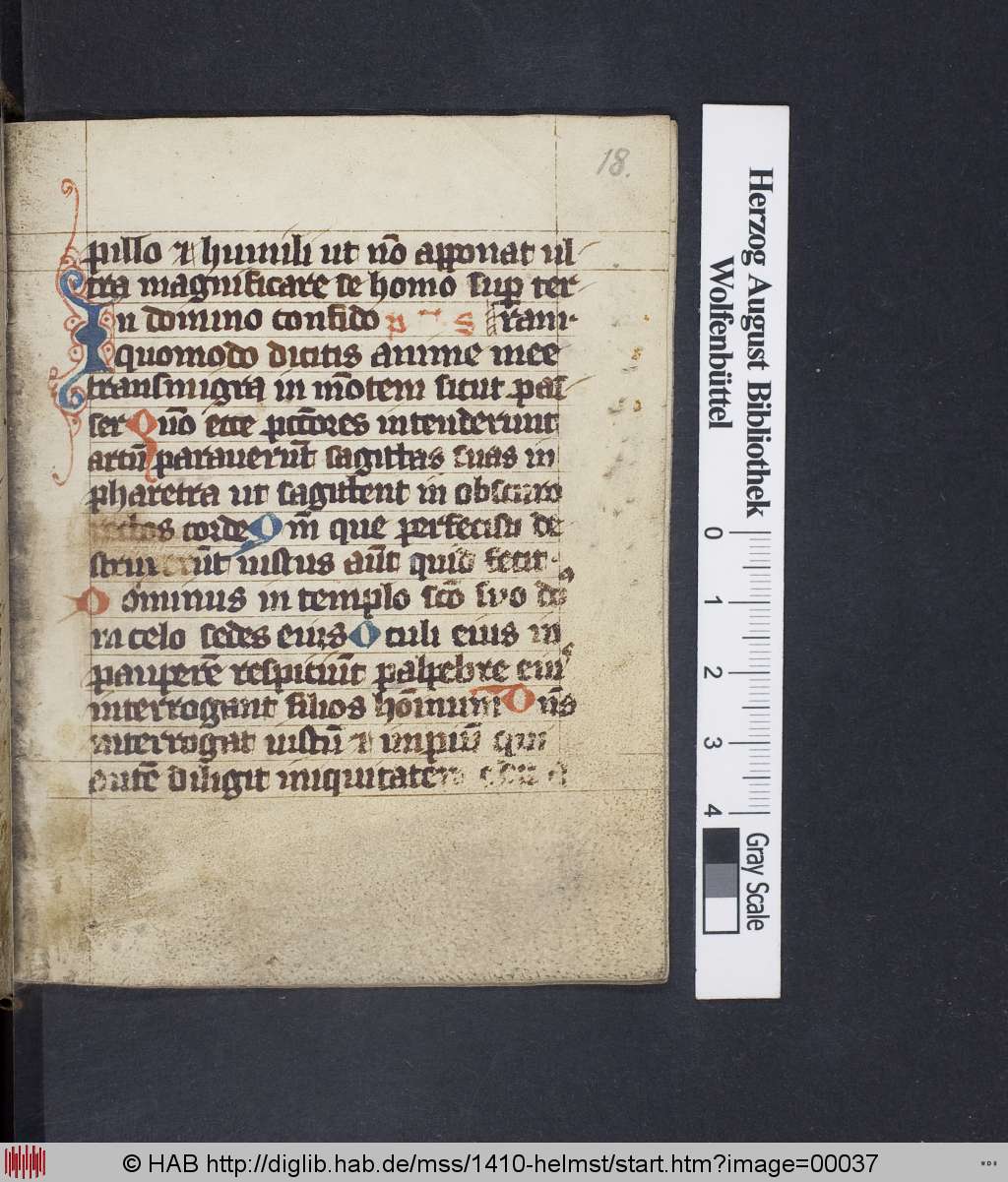 http://diglib.hab.de/mss/1410-helmst/00037.jpg