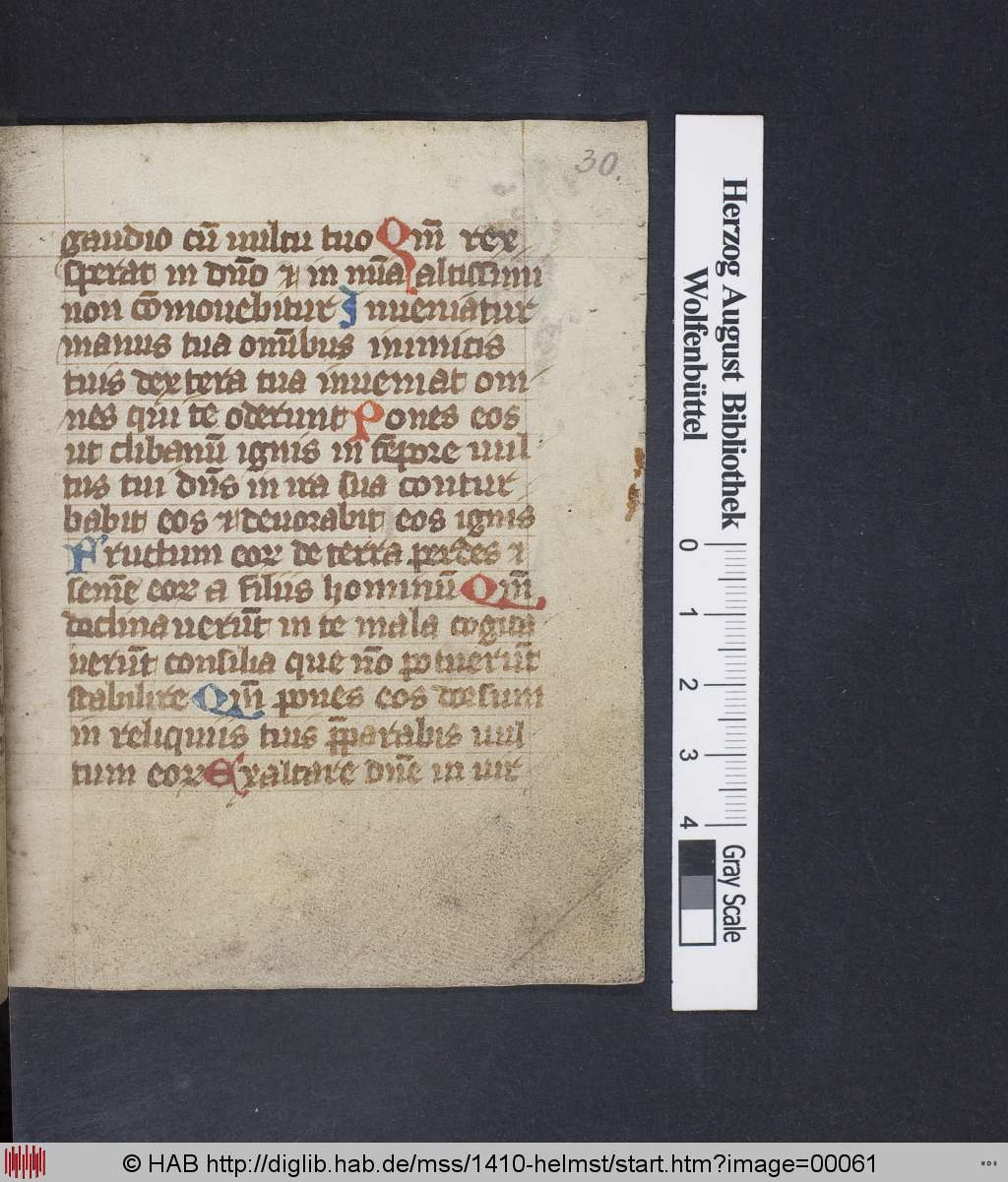 http://diglib.hab.de/mss/1410-helmst/00061.jpg