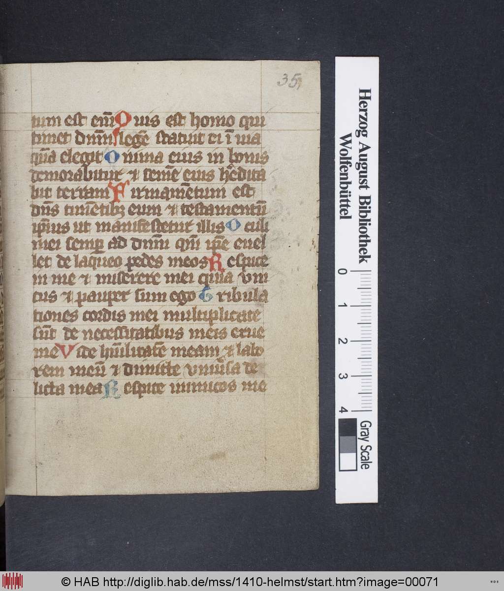 http://diglib.hab.de/mss/1410-helmst/00071.jpg