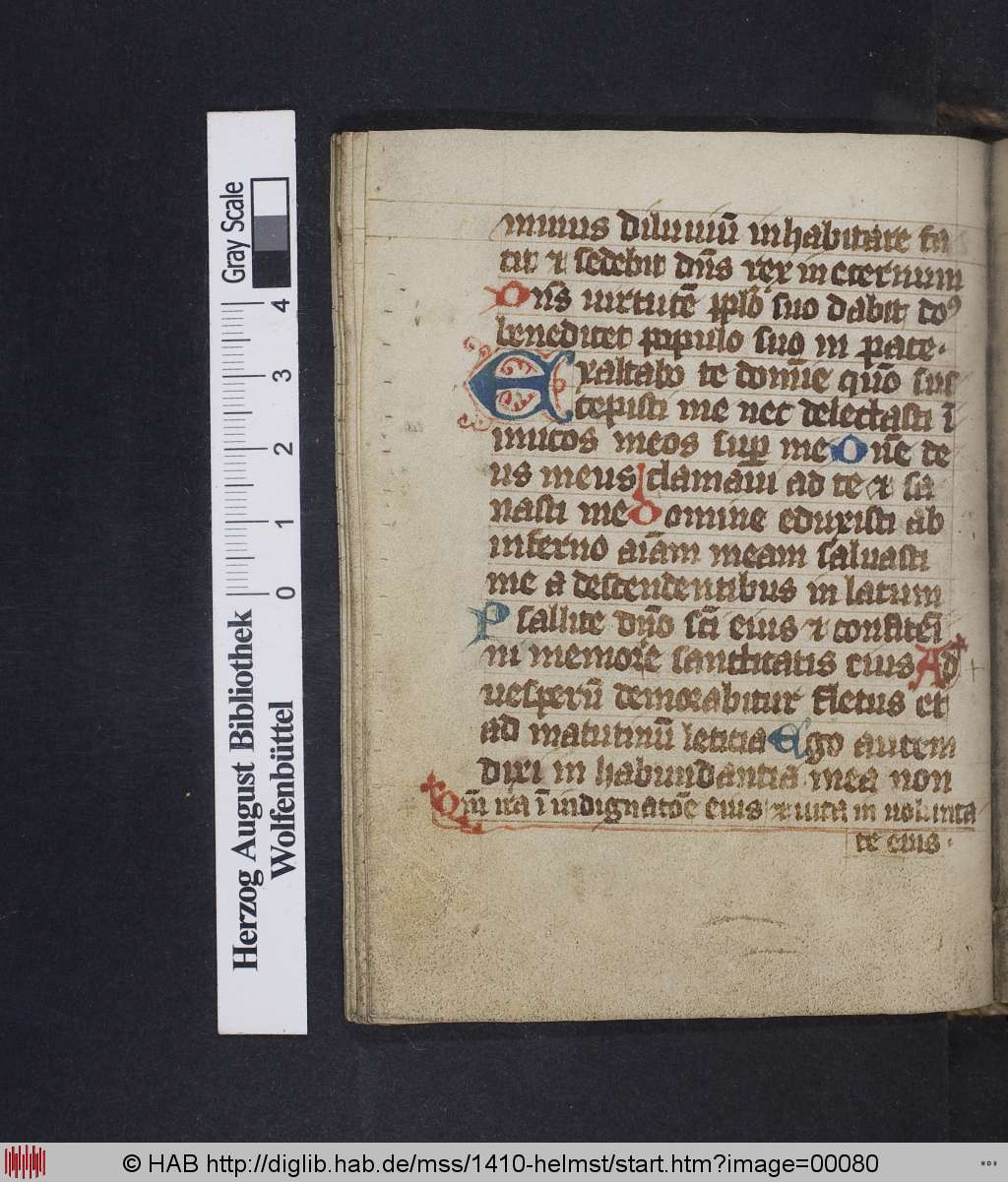 http://diglib.hab.de/mss/1410-helmst/00080.jpg