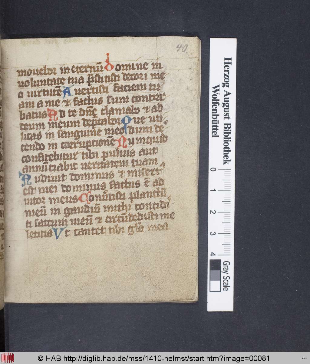 http://diglib.hab.de/mss/1410-helmst/00081.jpg