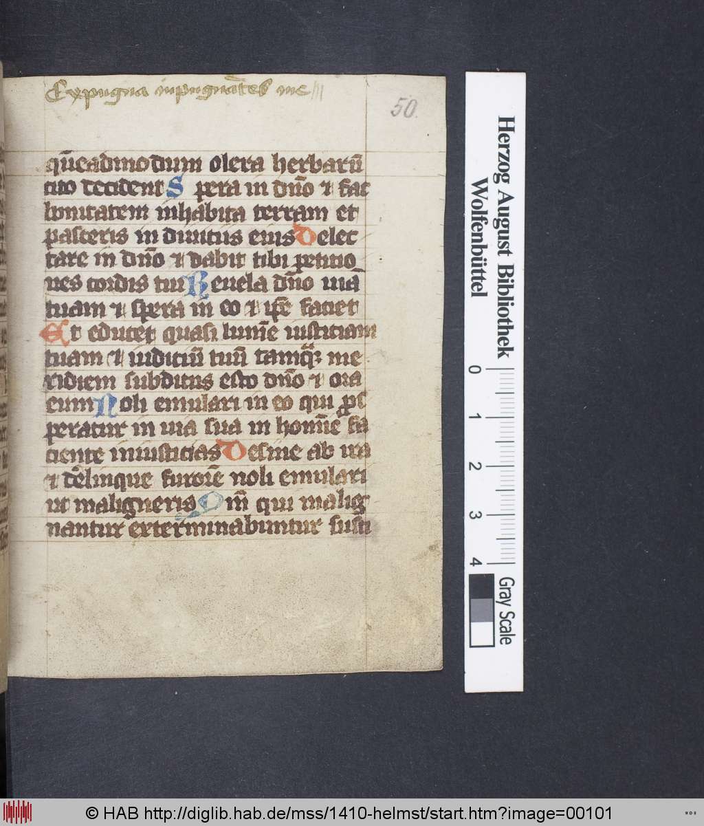 http://diglib.hab.de/mss/1410-helmst/00101.jpg