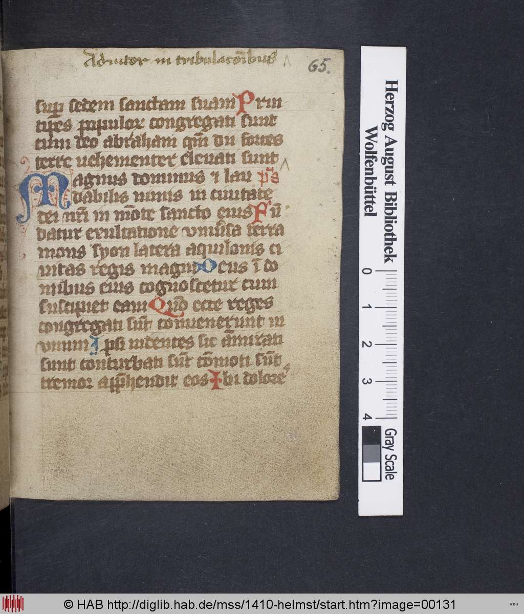 http://diglib.hab.de/mss/1410-helmst/00131.jpg