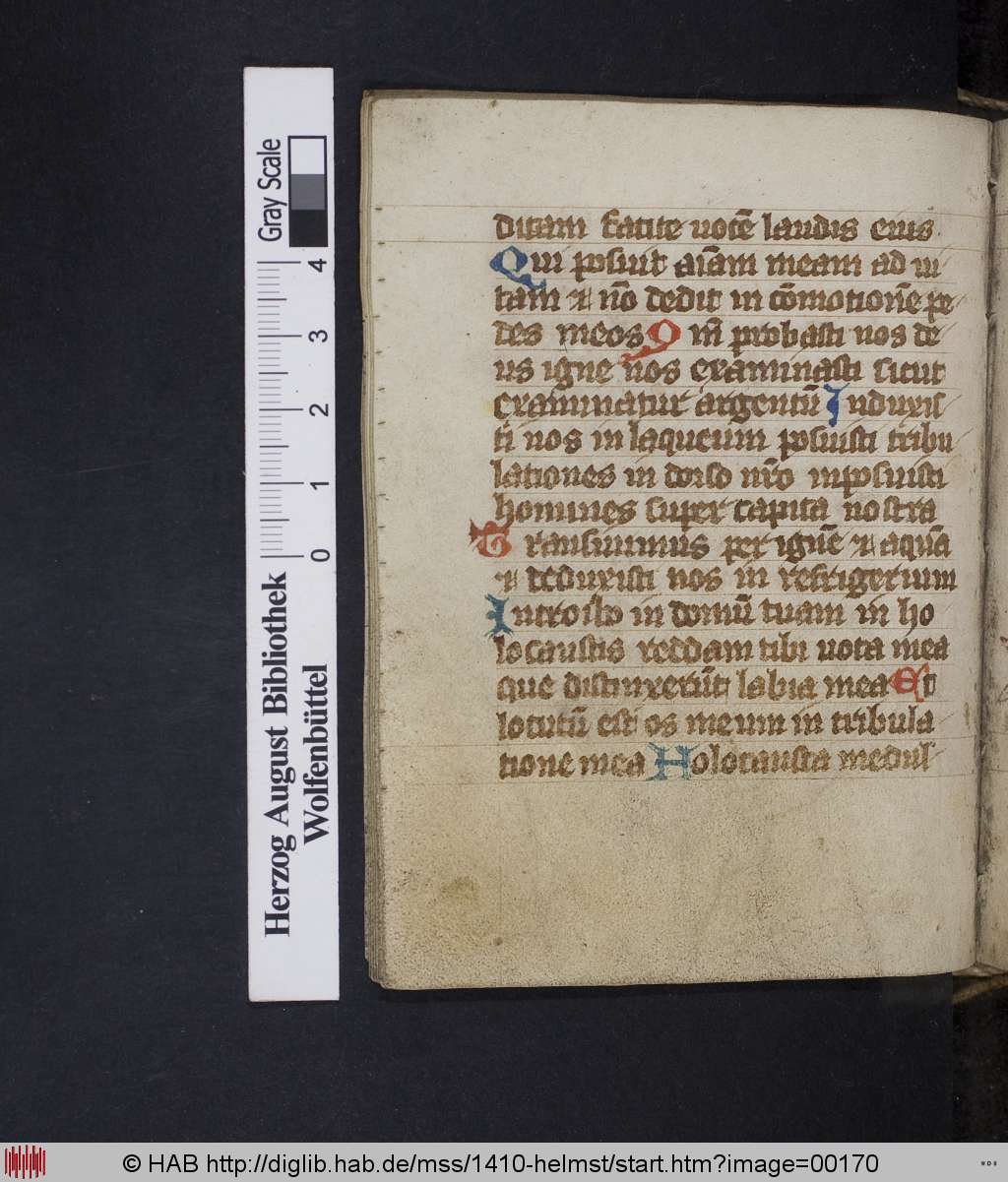 http://diglib.hab.de/mss/1410-helmst/00170.jpg