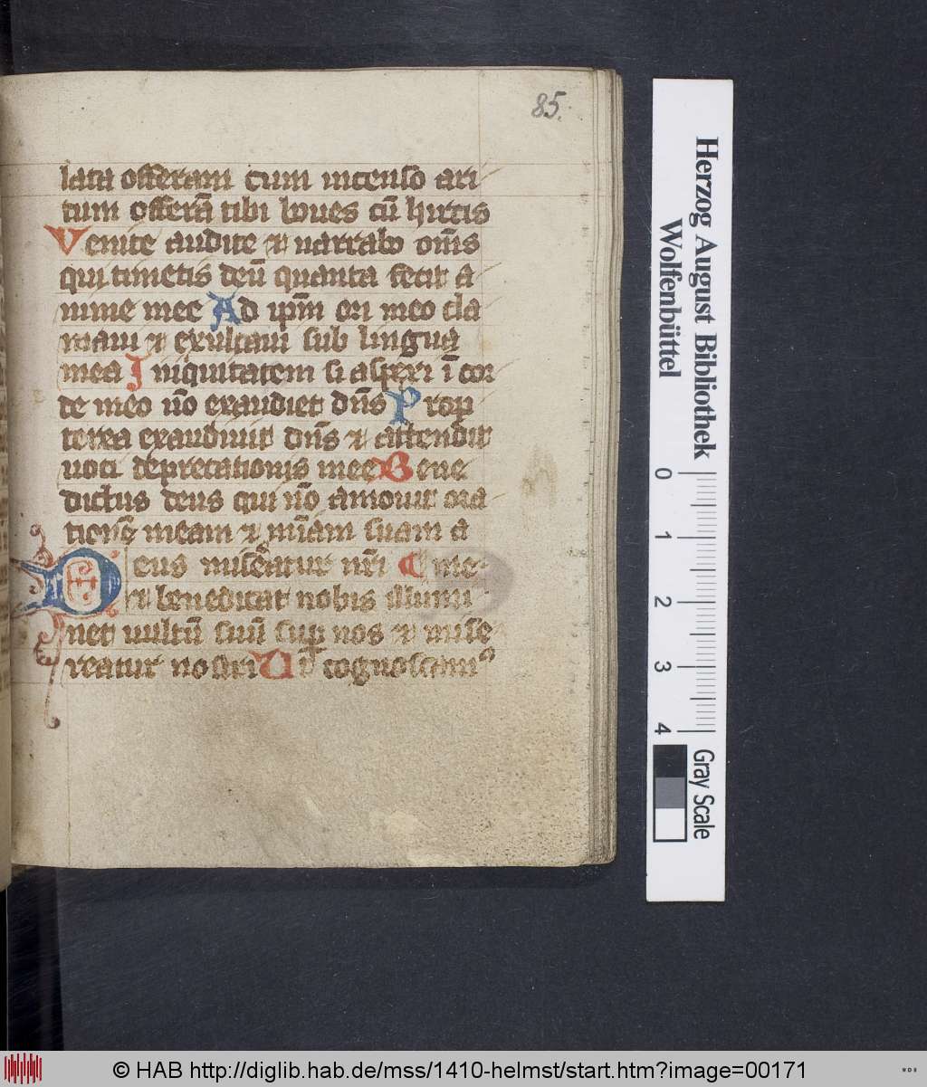 http://diglib.hab.de/mss/1410-helmst/00171.jpg