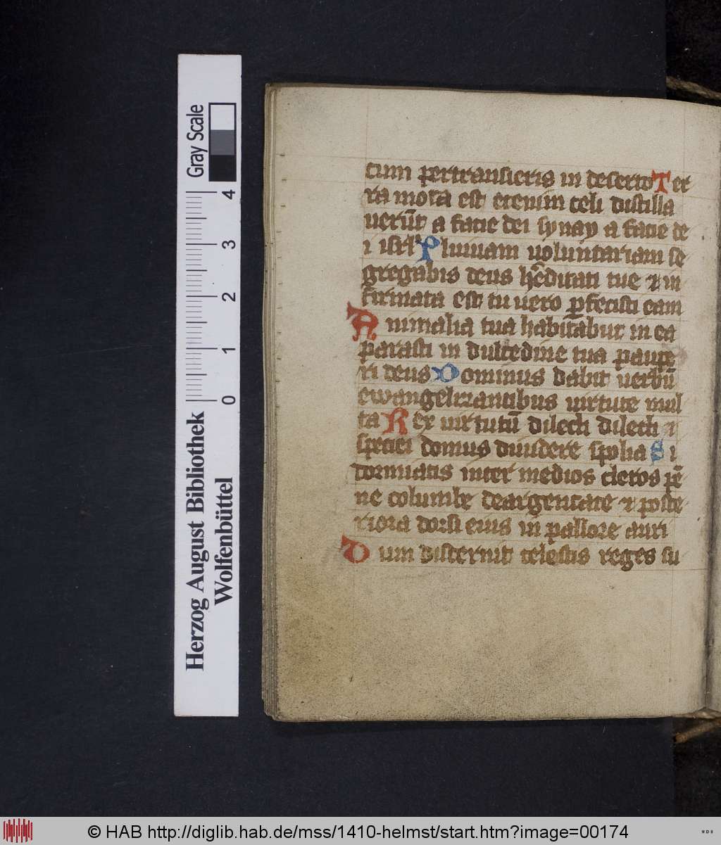 http://diglib.hab.de/mss/1410-helmst/00174.jpg