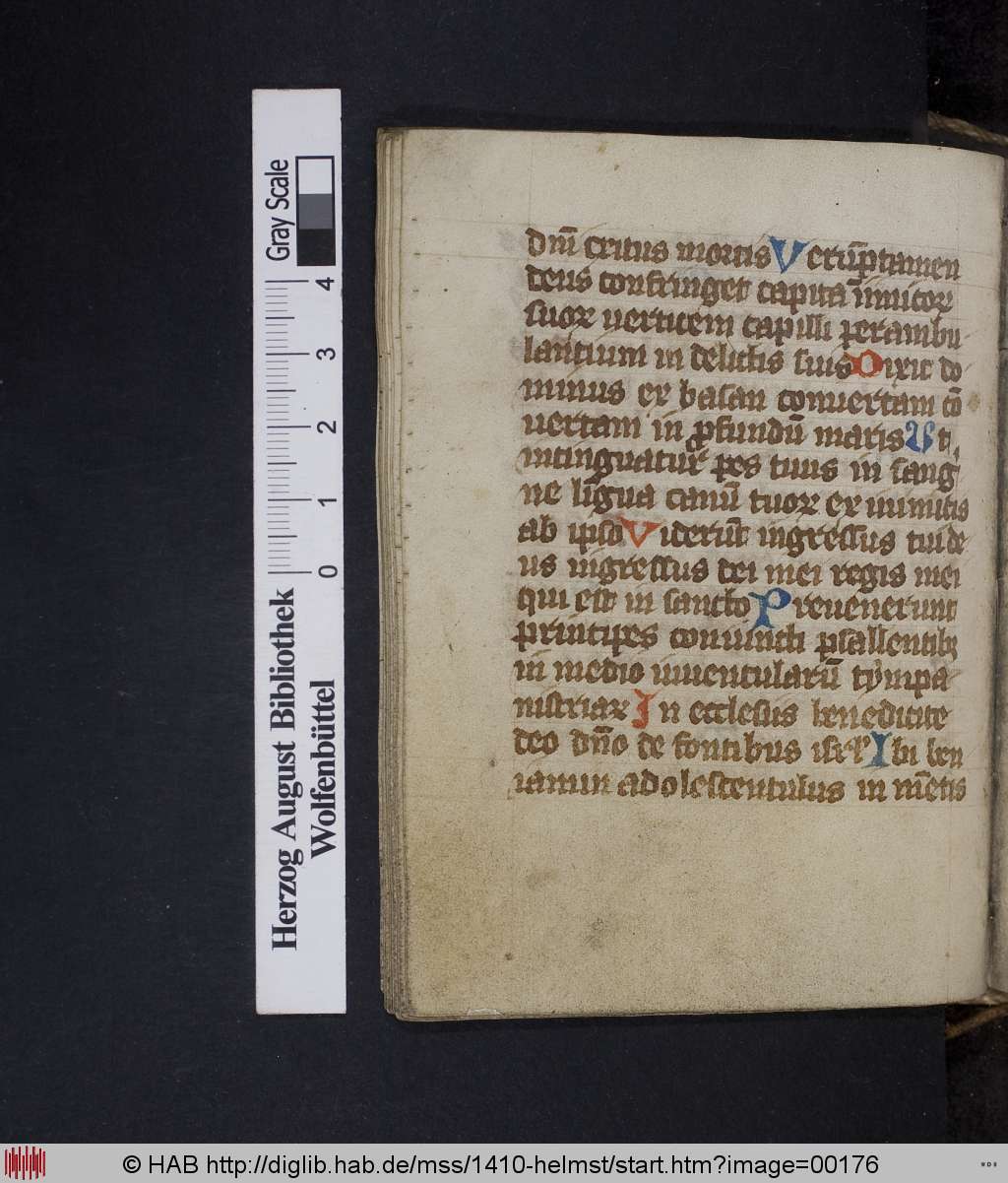 http://diglib.hab.de/mss/1410-helmst/00176.jpg