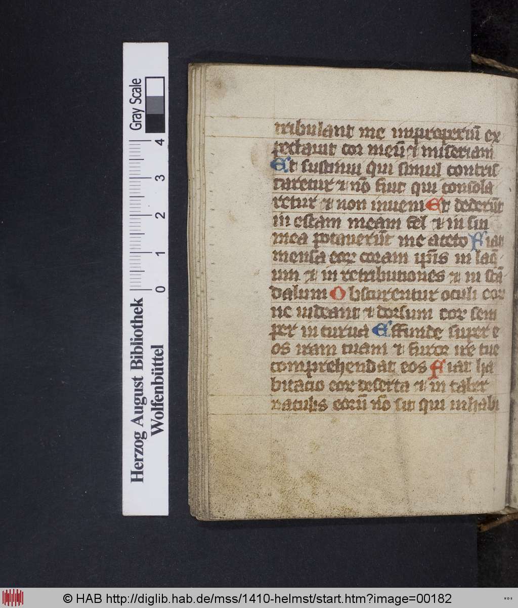 http://diglib.hab.de/mss/1410-helmst/00182.jpg