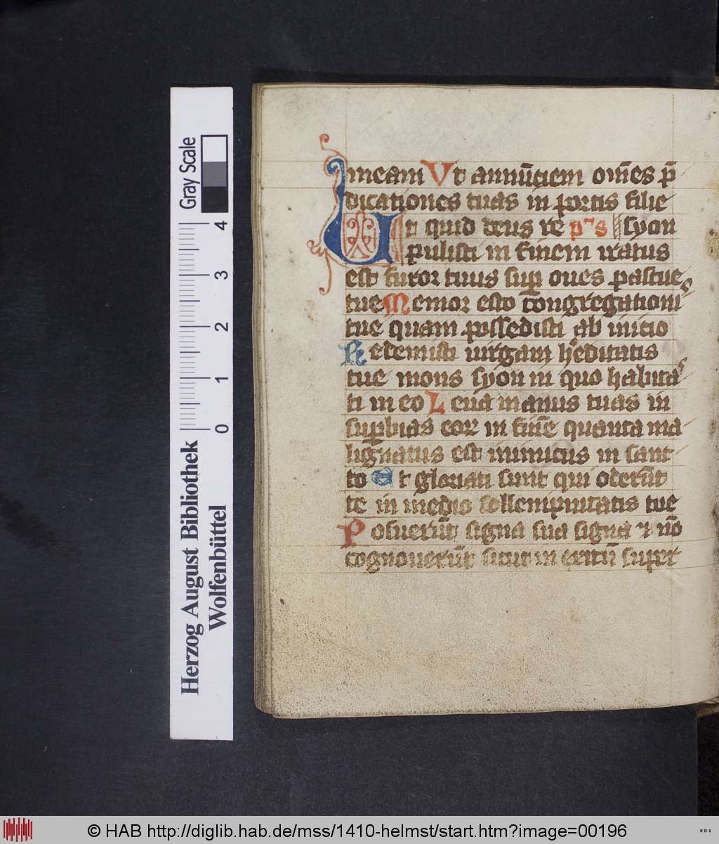 http://diglib.hab.de/mss/1410-helmst/00196.jpg
