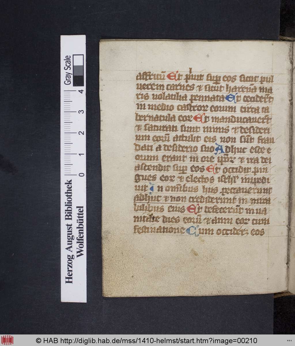 http://diglib.hab.de/mss/1410-helmst/00210.jpg