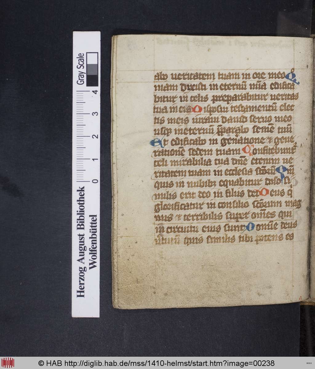 http://diglib.hab.de/mss/1410-helmst/00238.jpg