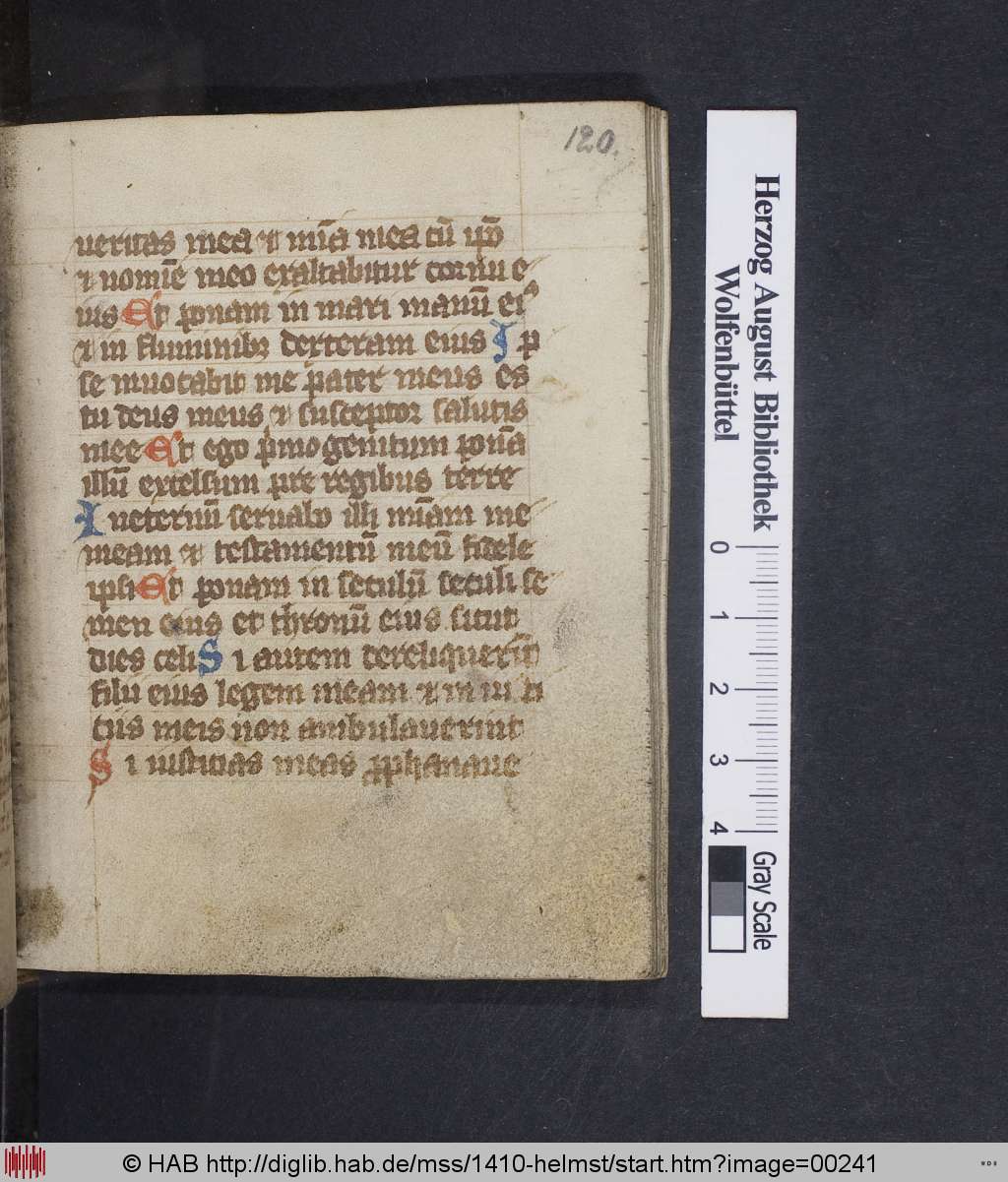 http://diglib.hab.de/mss/1410-helmst/00241.jpg