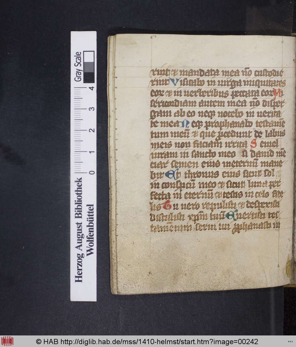 http://diglib.hab.de/mss/1410-helmst/00242.jpg