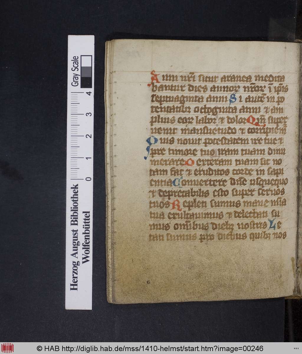 http://diglib.hab.de/mss/1410-helmst/00246.jpg