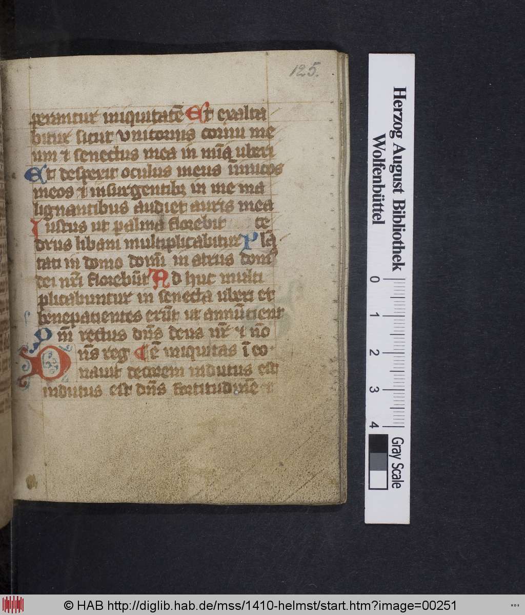 http://diglib.hab.de/mss/1410-helmst/00251.jpg