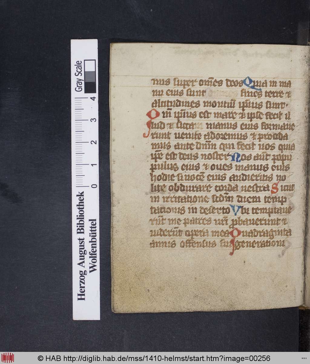 http://diglib.hab.de/mss/1410-helmst/00256.jpg