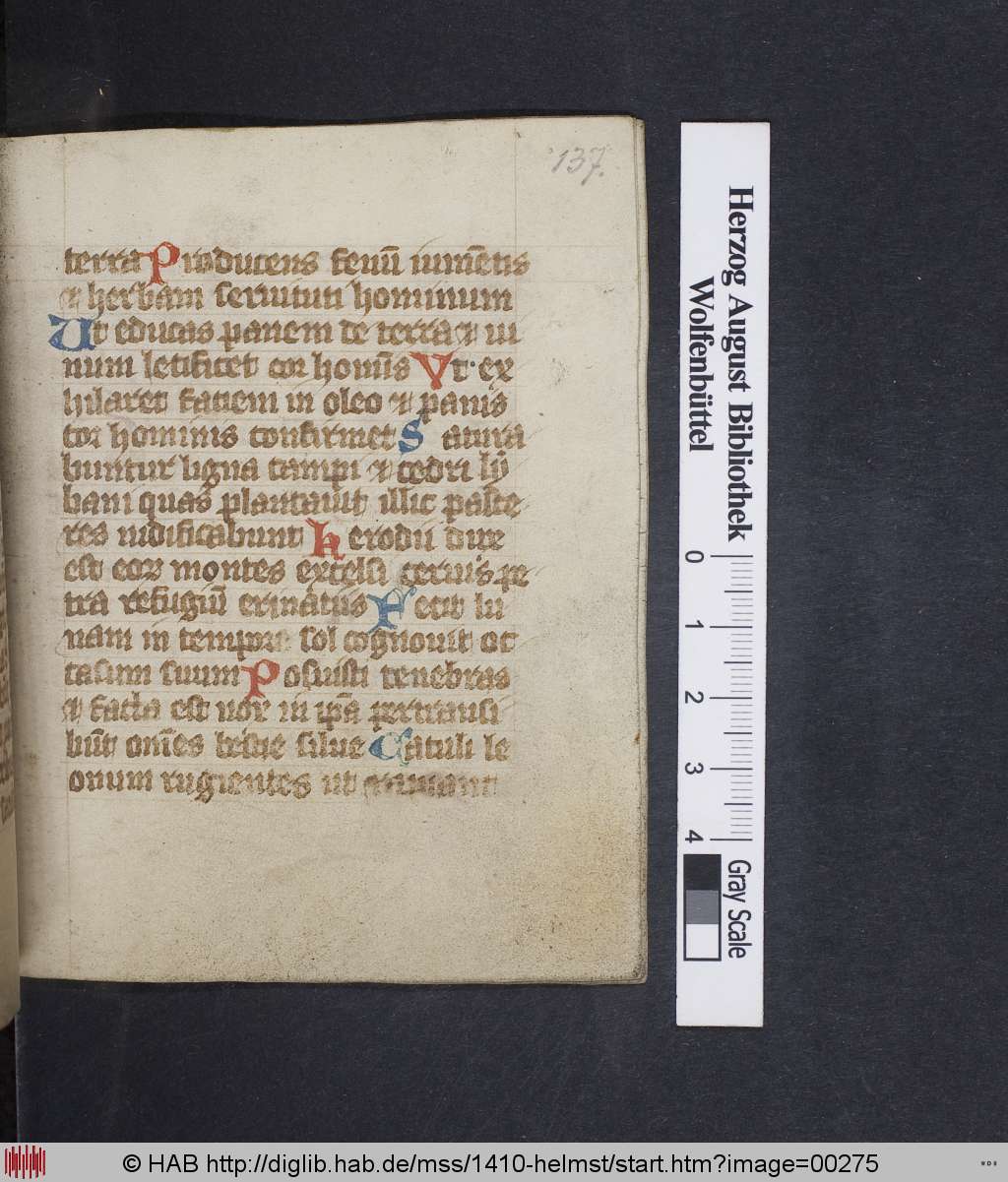 http://diglib.hab.de/mss/1410-helmst/00275.jpg