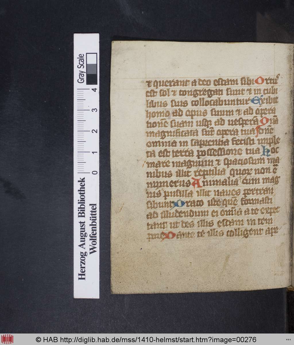 http://diglib.hab.de/mss/1410-helmst/00276.jpg
