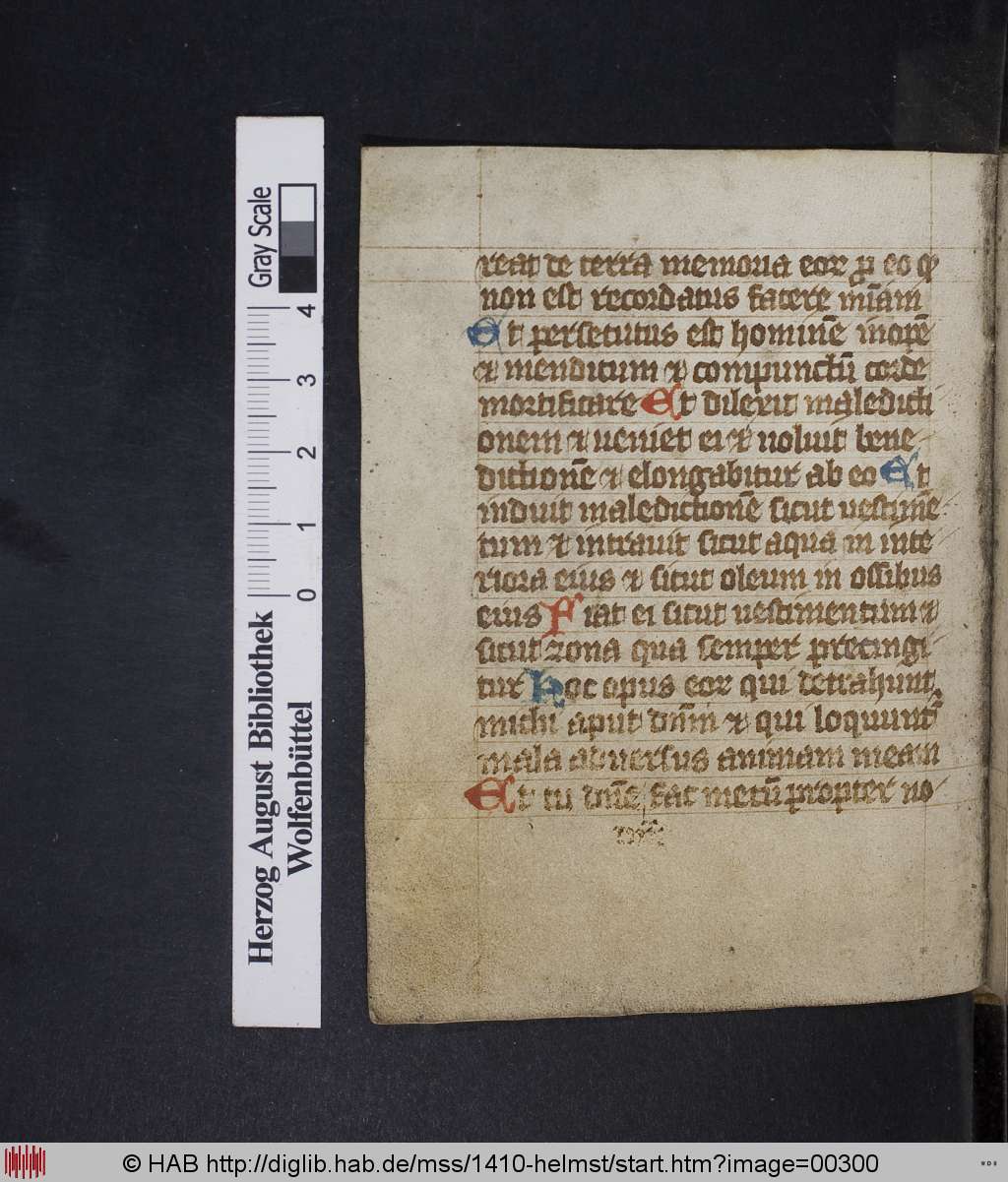 http://diglib.hab.de/mss/1410-helmst/00300.jpg