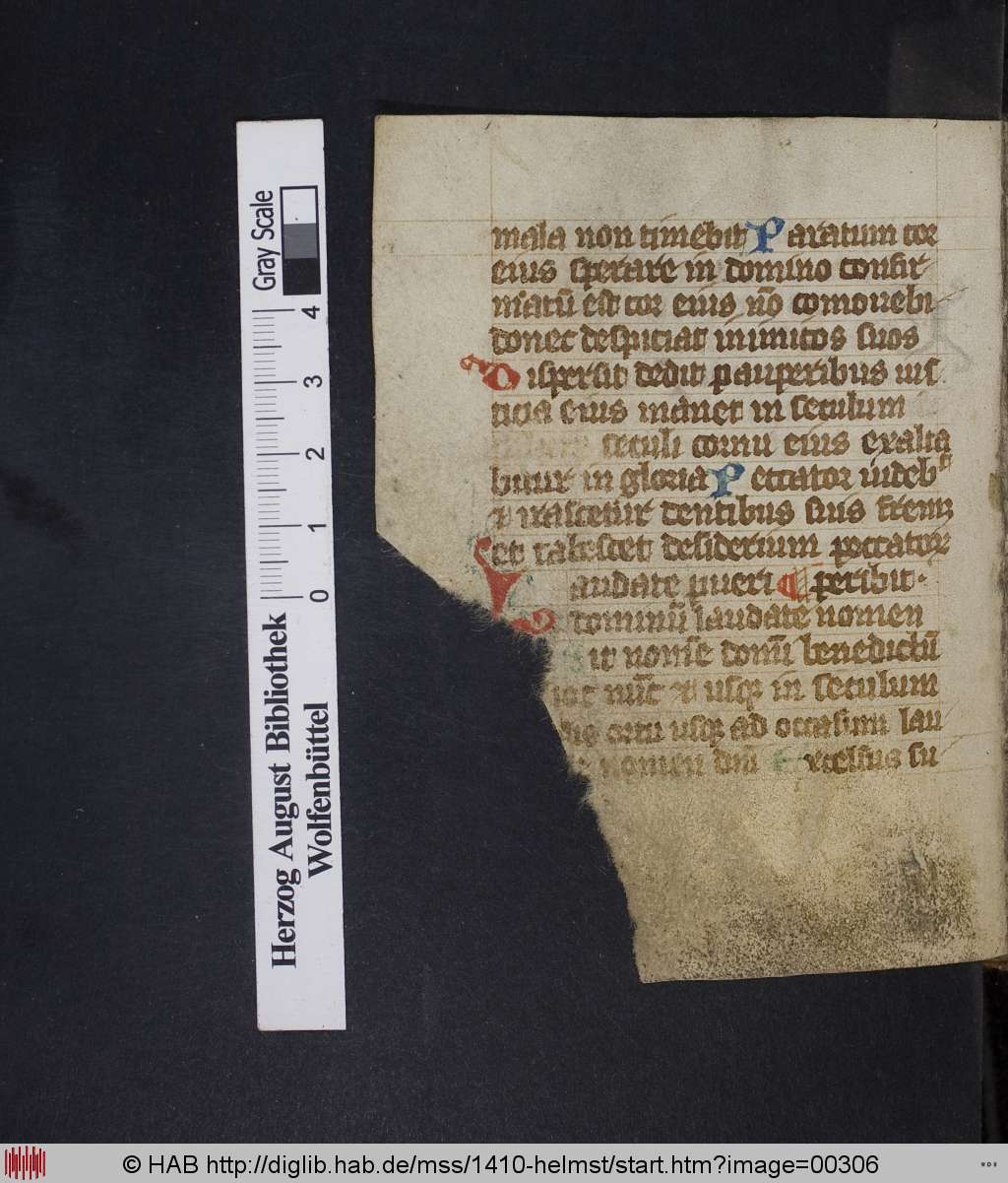 http://diglib.hab.de/mss/1410-helmst/00306.jpg