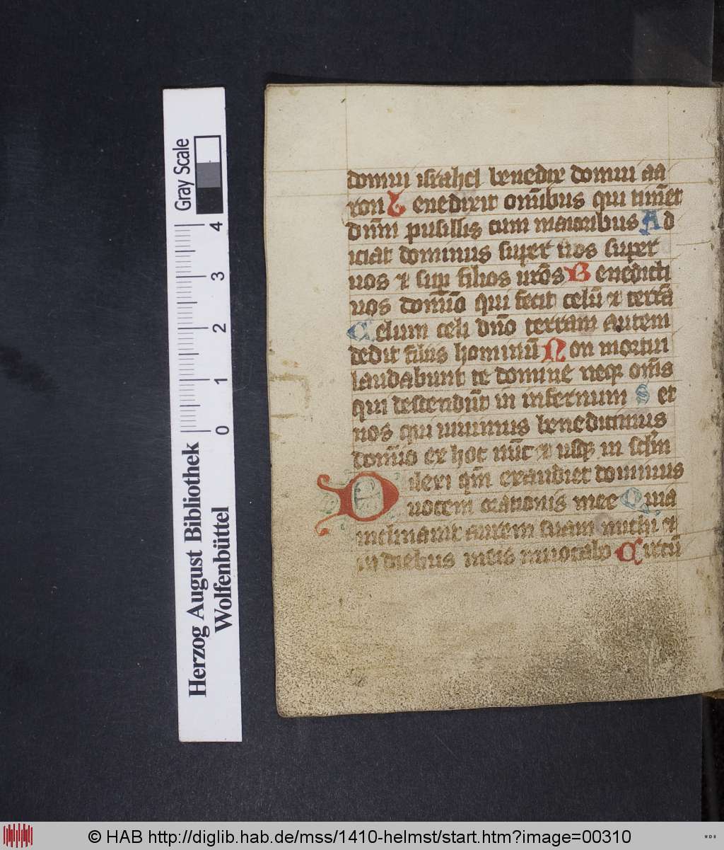 http://diglib.hab.de/mss/1410-helmst/00310.jpg