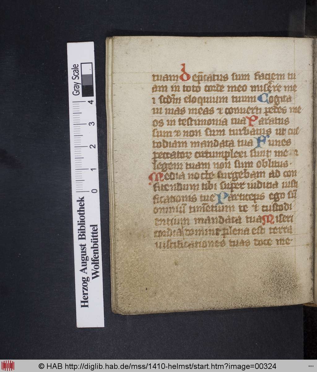 http://diglib.hab.de/mss/1410-helmst/00324.jpg